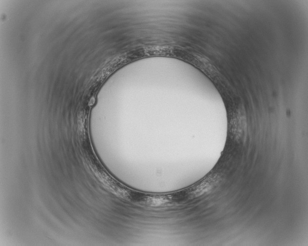 X0000052550662200507291917