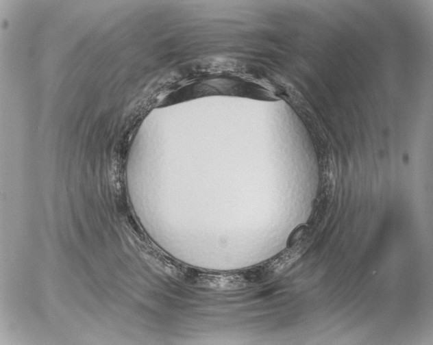 X0000052550663200507291917