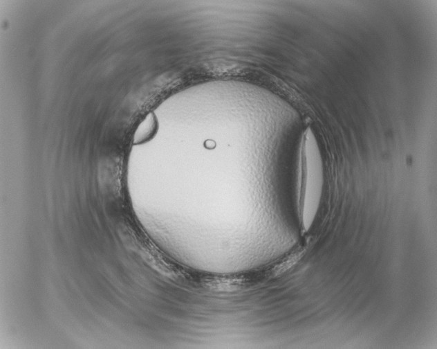 X0000052550664200507291917