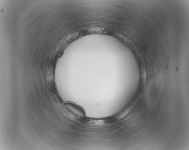 X0000052550665200507291917