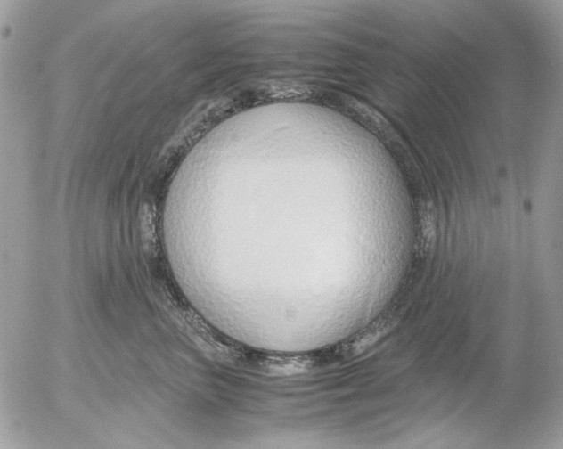 X0000052550667200507291917