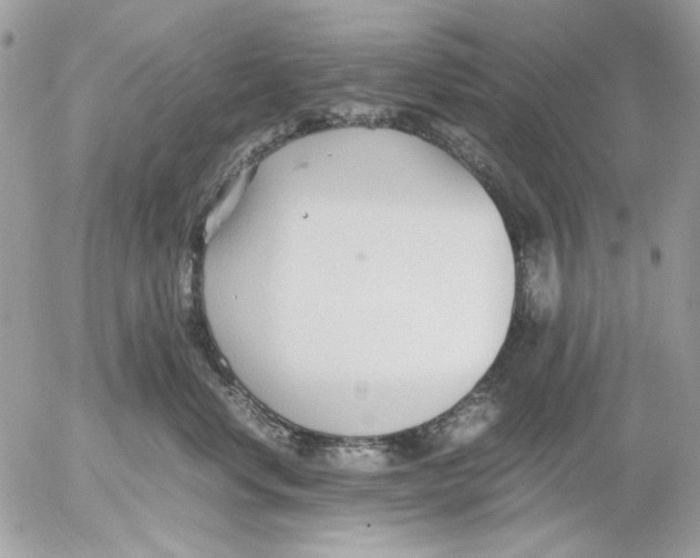 X0000052550668200507291917