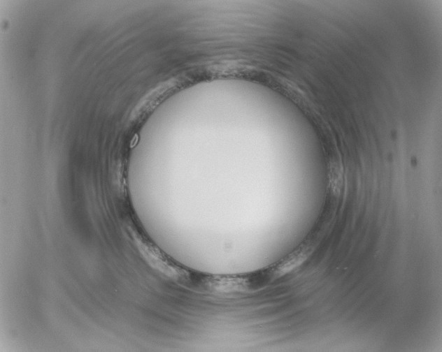 X0000052550670200507291917