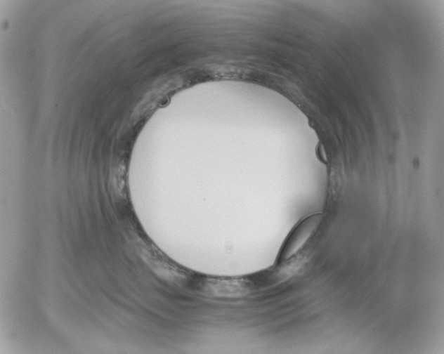 X0000052550671200507291917