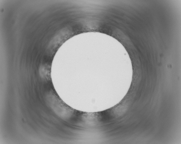 X0000052550672200507291917