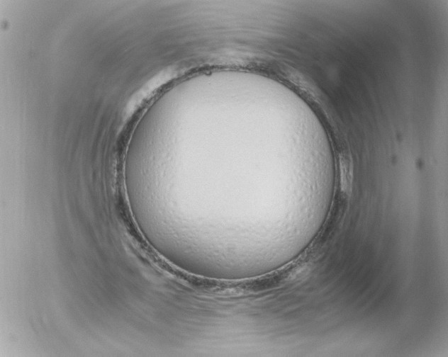 X0000052550675200507291916