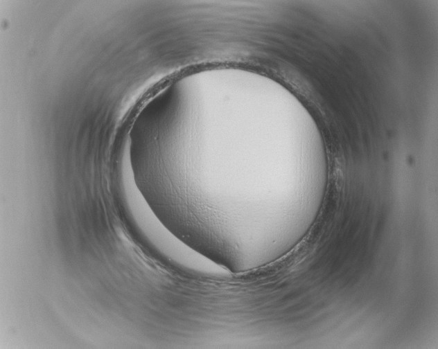 X0000052550676200507291916