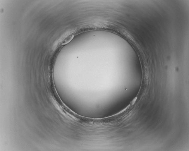 X0000052550677200507291916