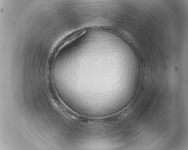 X0000052550680200507291916