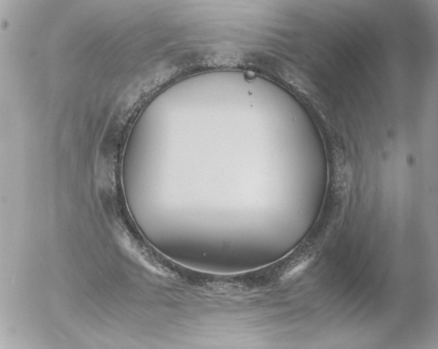 X0000052550681200507291916