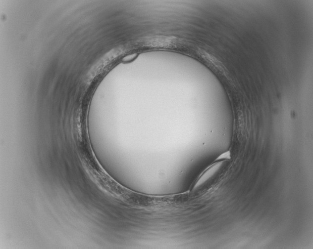 X0000052550682200507291916