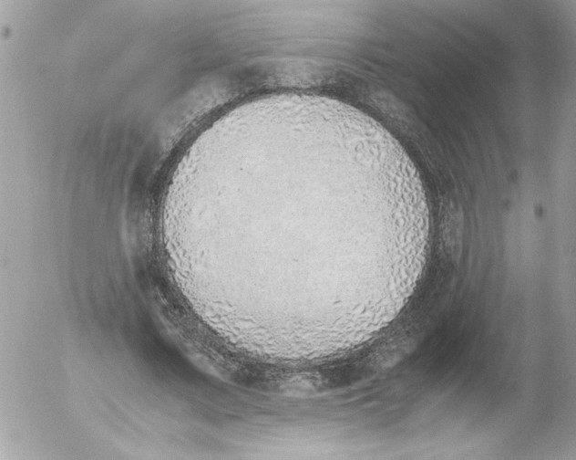 X0000052550683200507291916