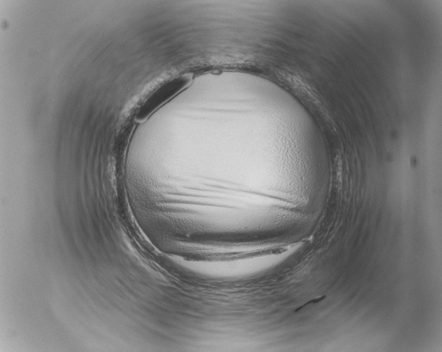 X0000052550684200507291916