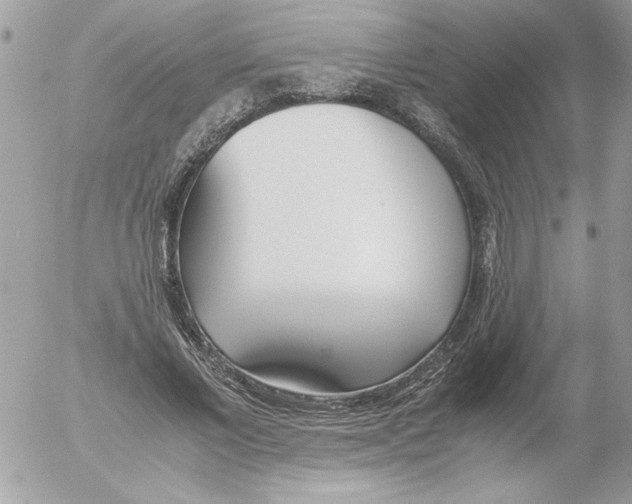 X0000052550685200507291916