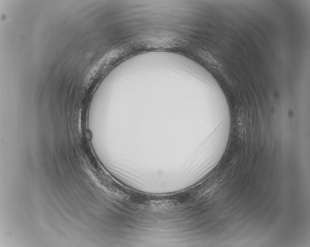 X0000052550686200507291916