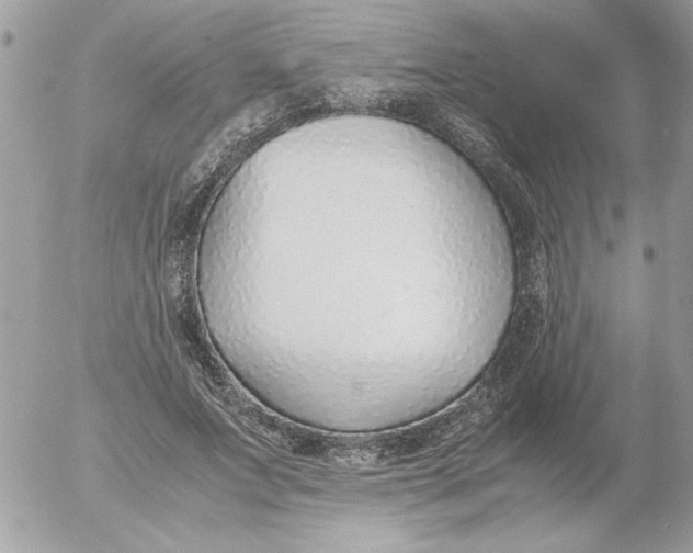 X0000052550687200507291916