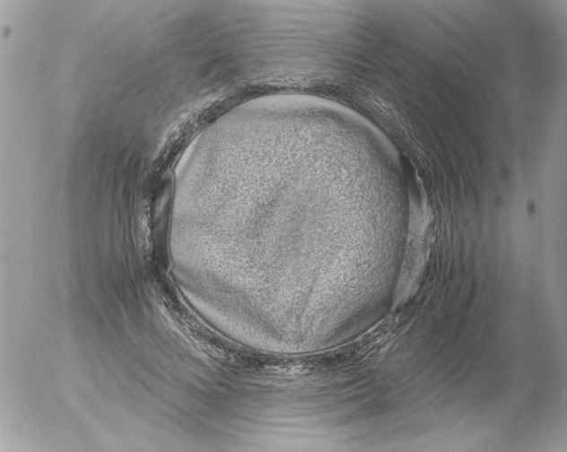 X0000052550688200507291916