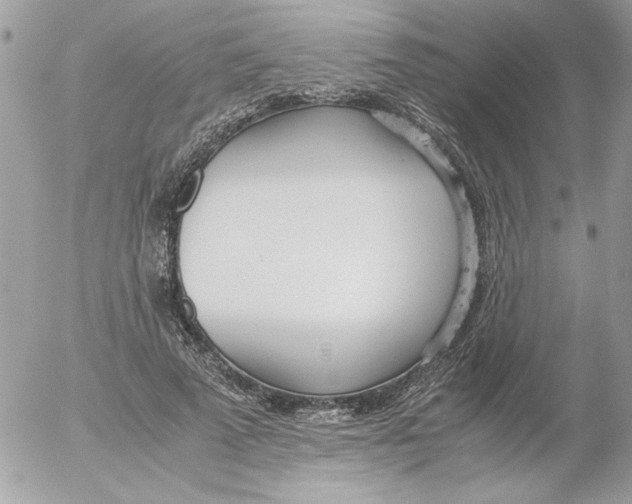 X0000052550689200507291916