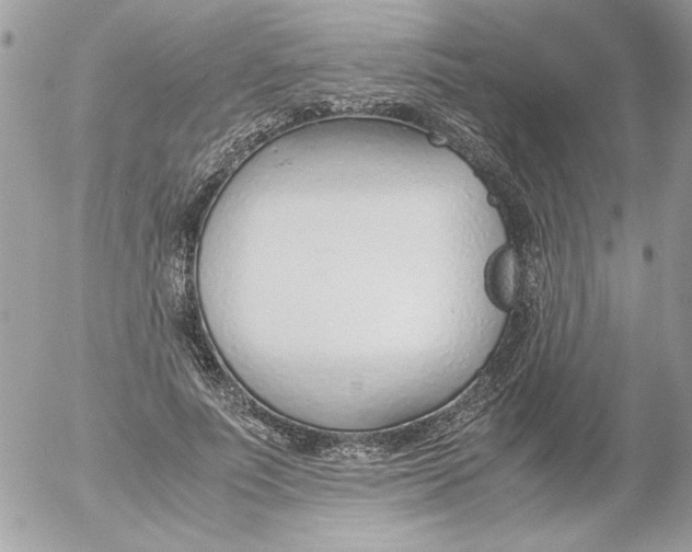 X0000052550691200507291916