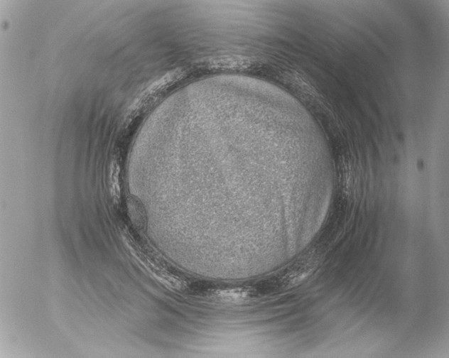 X0000052550692200507291916