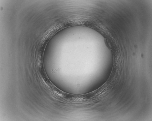 X0000052550693200507291916