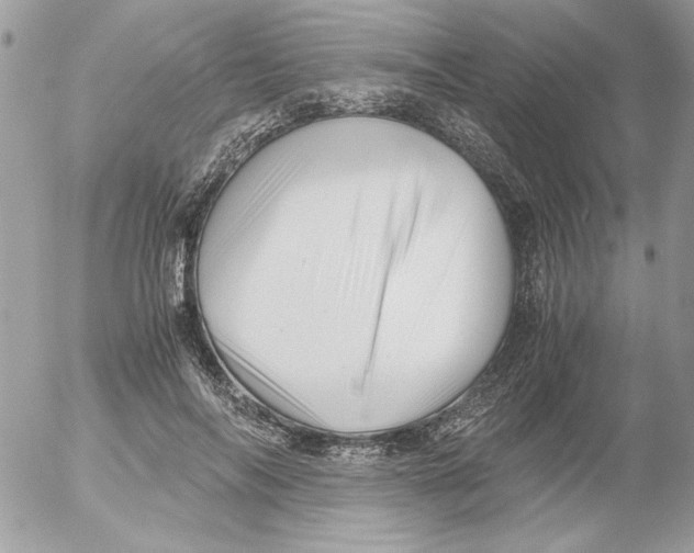 X0000052550694200507291916