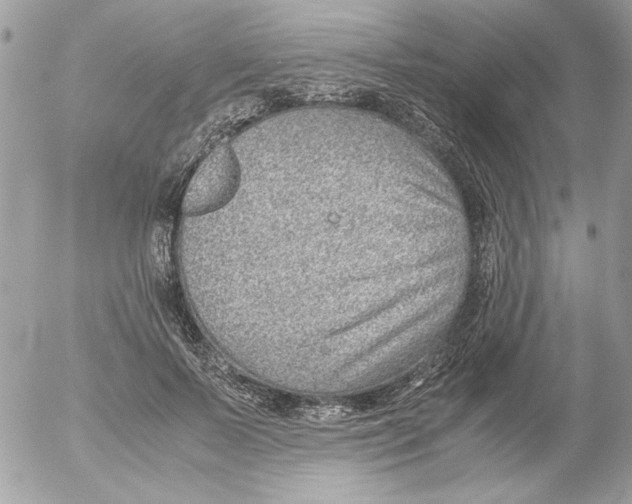 X0000052550695200507291916