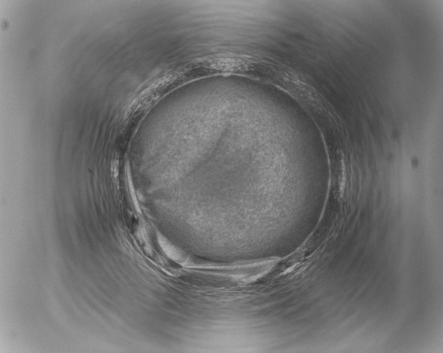 X0000052550696200507291916