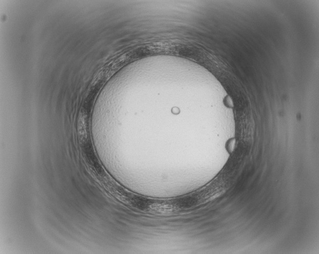 X0000052550699200507291916