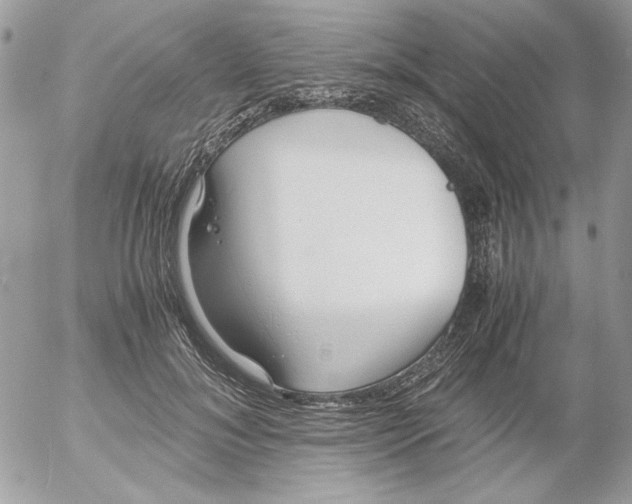 X0000052550700200507291916