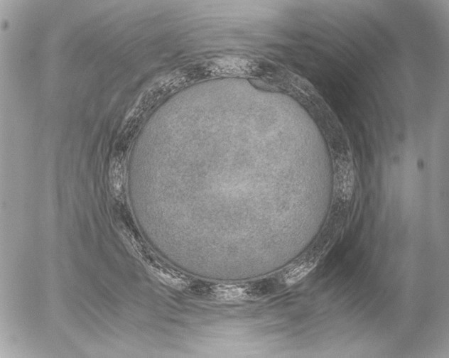 X0000052550701200507291916