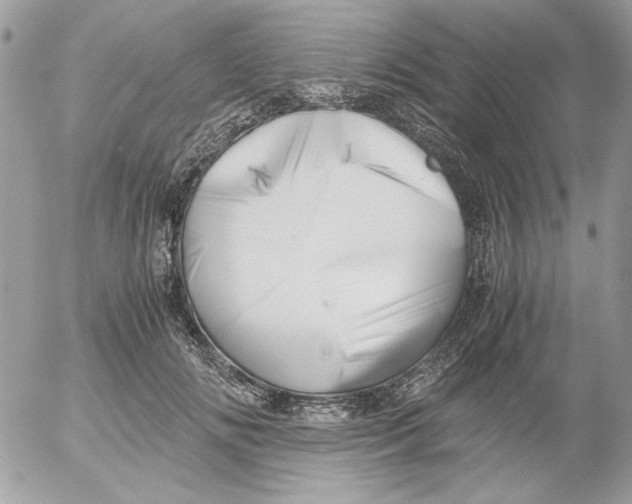 X0000052550702200507291916