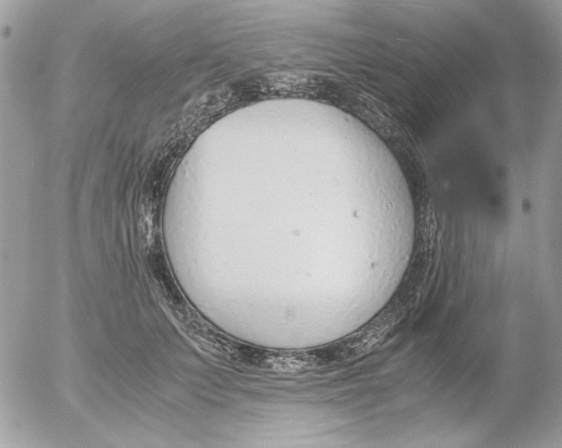 X0000052550703200507291916