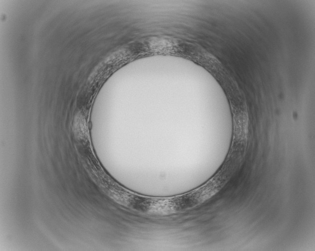 X0000052550705200507291916