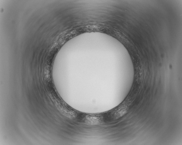 X0000052550706200507291916