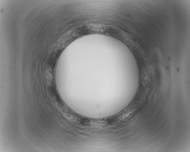 X0000052550707200507291916