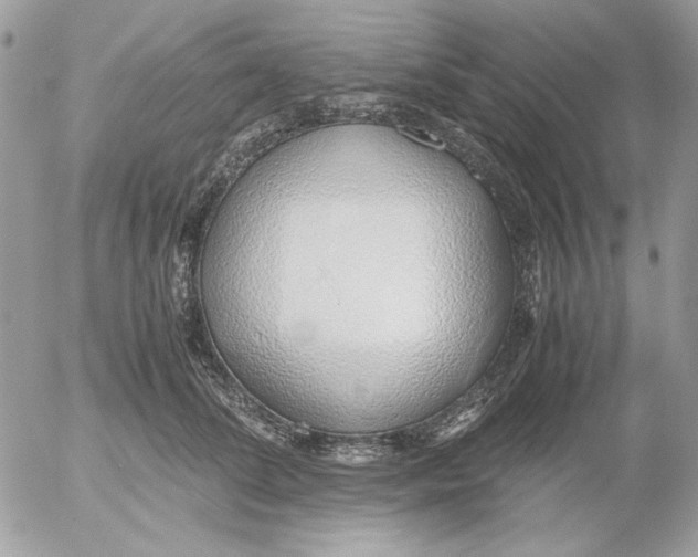 X0000052550708200507291916