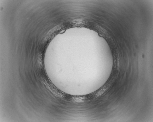 X0000052550710200507291916