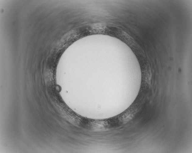 X0000052550711200507291916