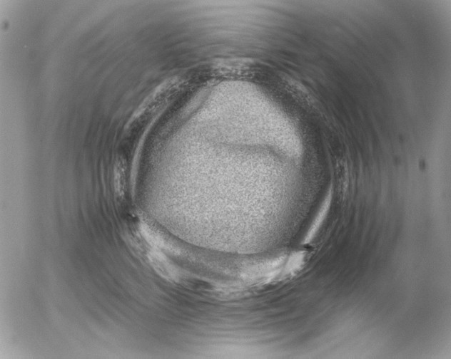 X0000052550712200507291916