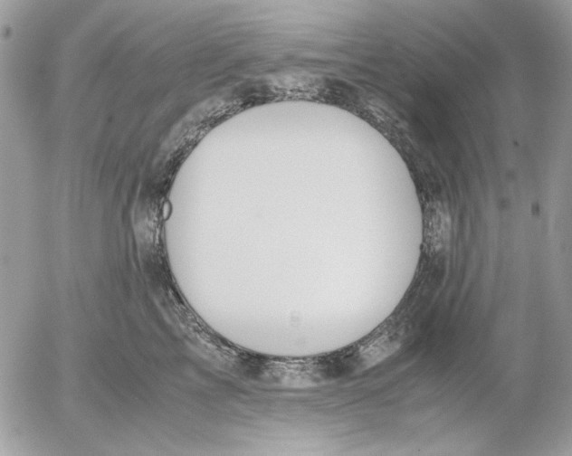 X0000052550713200507291916