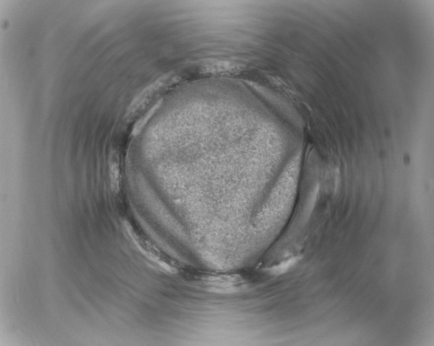 X0000052550716200507291916