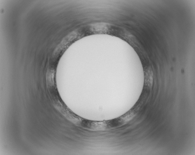 X0000052550717200507291916