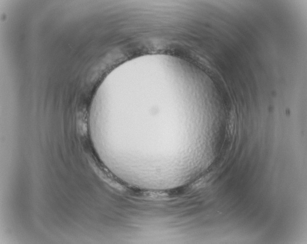 X0000052550719200507291915