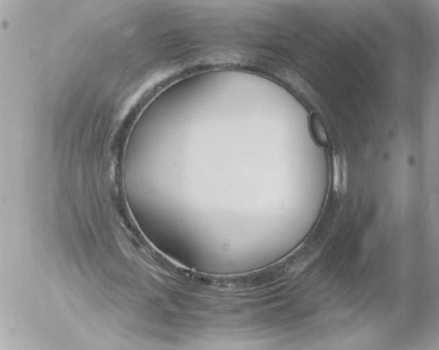 X0000052550723200507291915