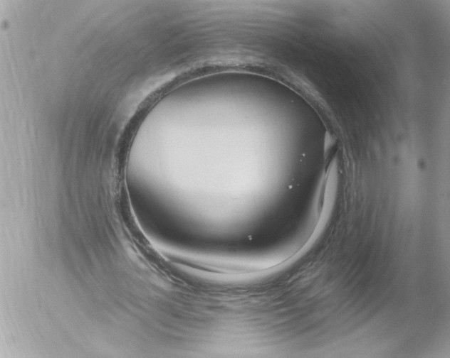 X0000052550724200507291915