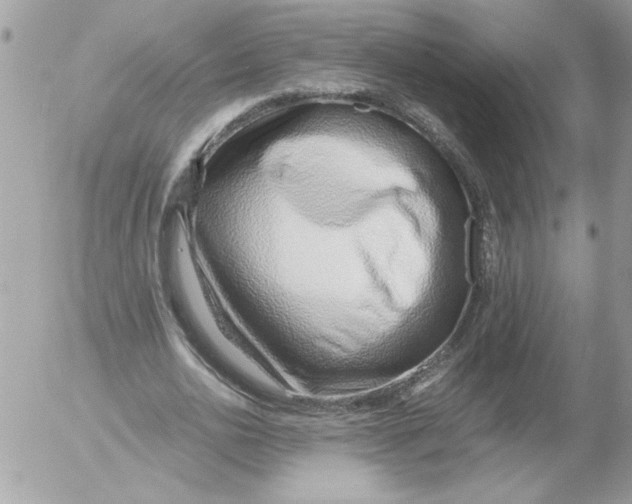 X0000052550726200507291915