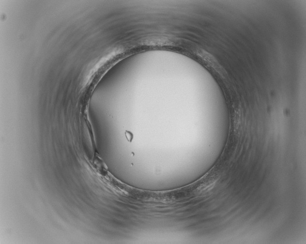 X0000052550727200507291915