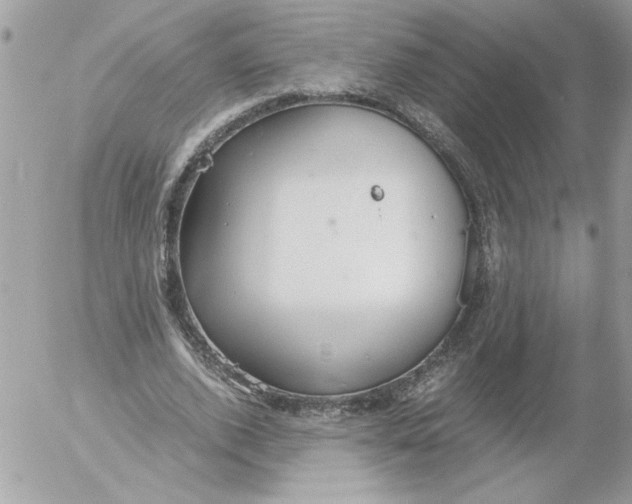 X0000052550728200507291915