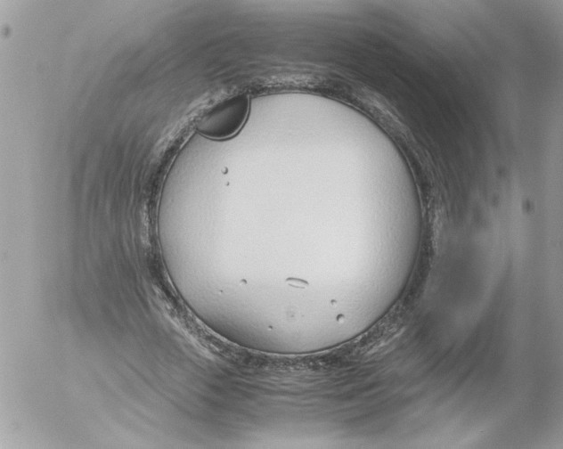 X0000052550729200507291915